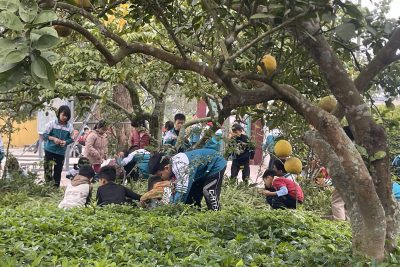 Học sinh tham gia tổng vệ sinh môi trường và chăm sóc vườn thực nghiệm