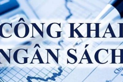 Quyết định về việc công bố công khai quyết toán ngân sách năm 2025 của trường Tiểu học Nam Thanh